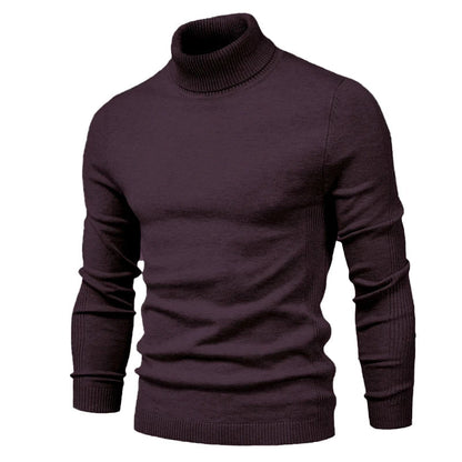 Sanford - Modischer Pullover mit kleinem Rollkragen 8